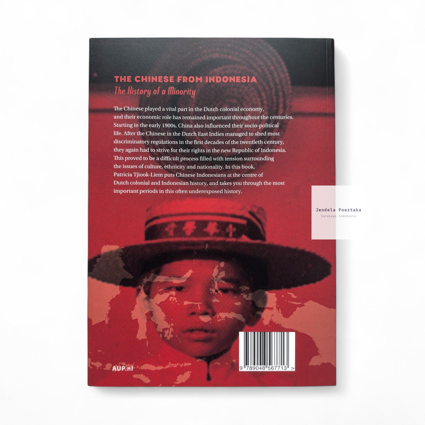 The Chinese from Indonesia: The History of a Minority