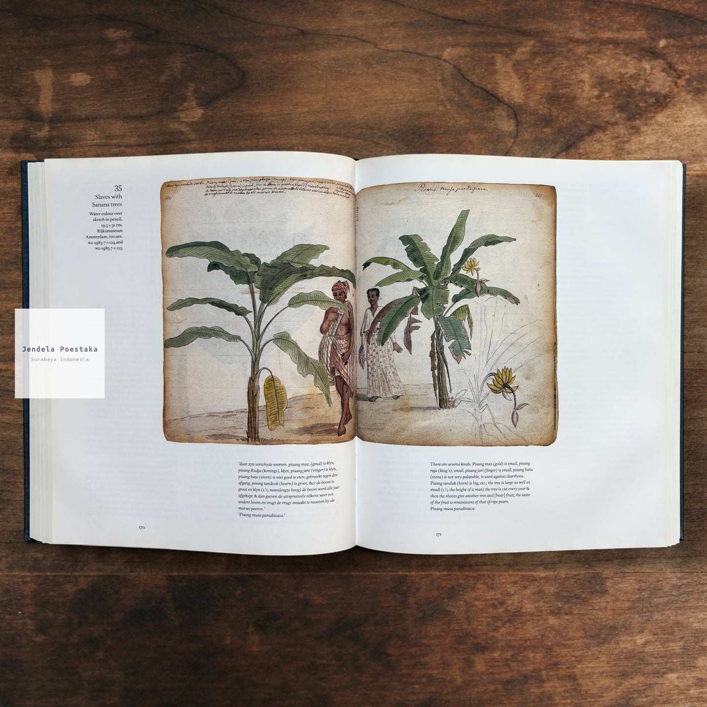 The World of Jan Brandes, 1743–1808: Drawings of a Dutch Traveller in Batavia, Ceylon and Southern Africa