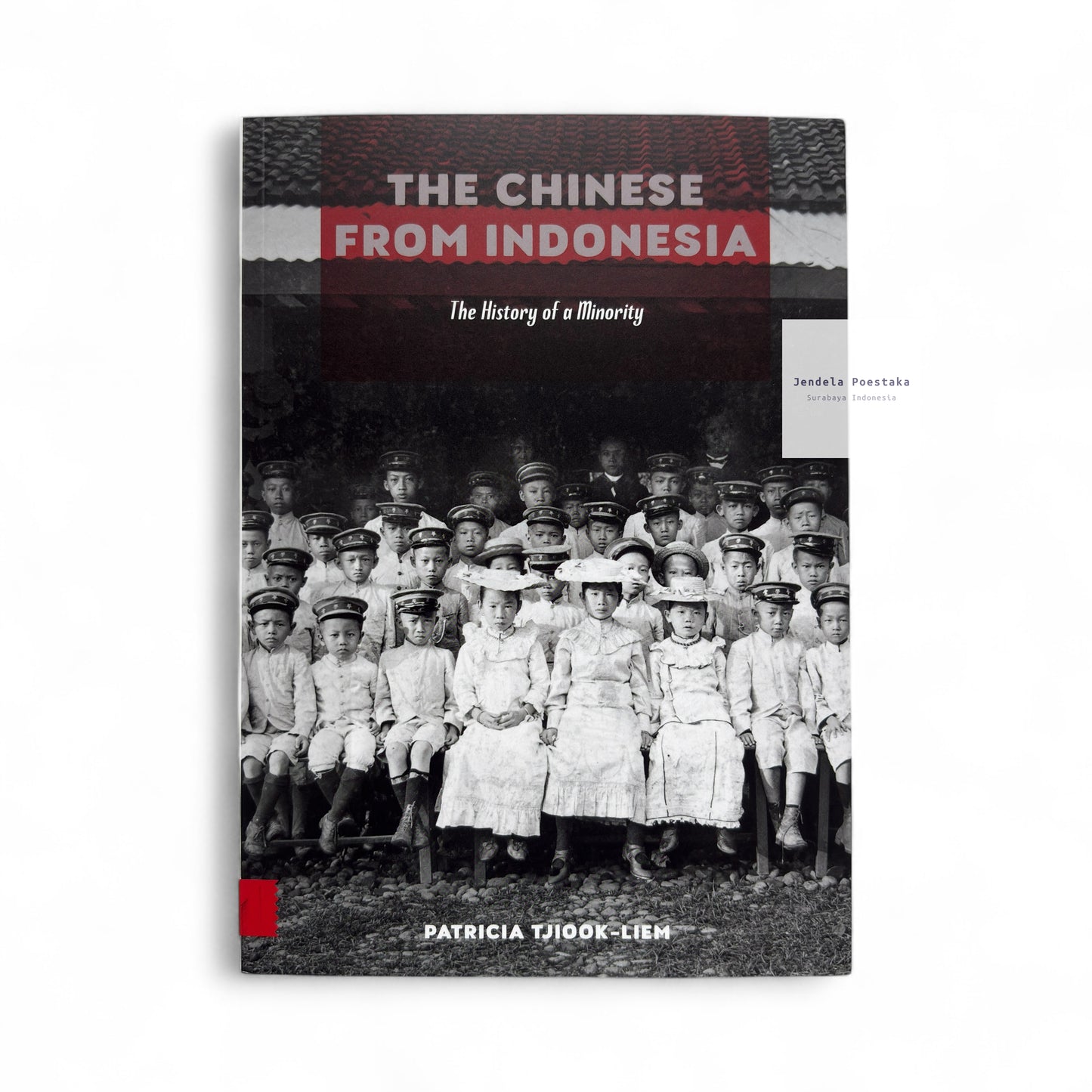 The Chinese from Indonesia: The History of a Minority